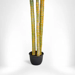 12' Phoenix Palm Tree x 3 - Image 2