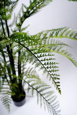 120CM FERN PLANT ON POT - Image 2