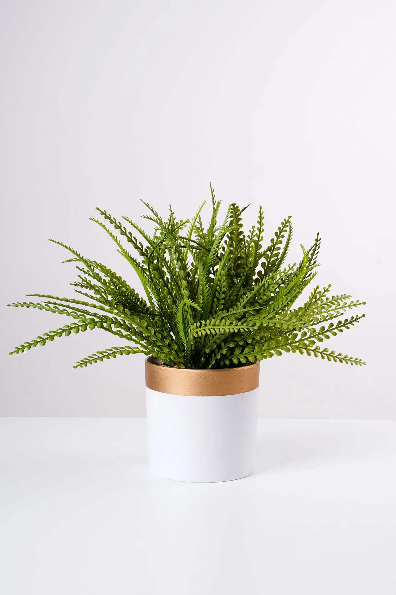 13" Adiantum in Wh/Gold Pot - Image 2