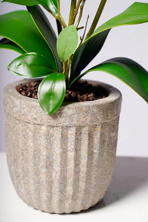 20" PHALAENOPSIS ORCHID PURPLE - Image 3