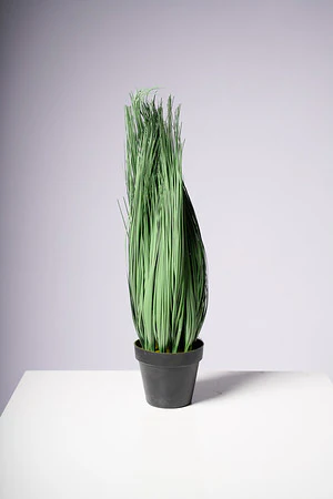 22" GRASS IN POT - Image 2