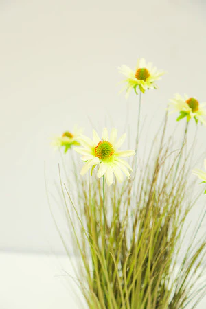 22" WHITE CHRYSANTHEMUM GRASS IN POT - Image 2