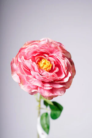 27" TEAROSE ROSE - Image 2