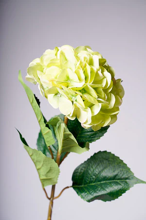 31" HYDRANGEA GREEN - Image 2