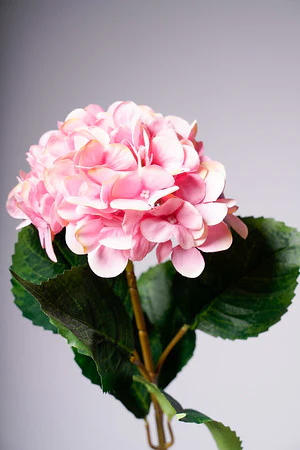 31" HYDRANGEA ROSE - Image 2
