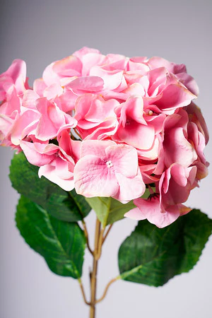 31" LG. HYDRANGEA ROSE - Image 2