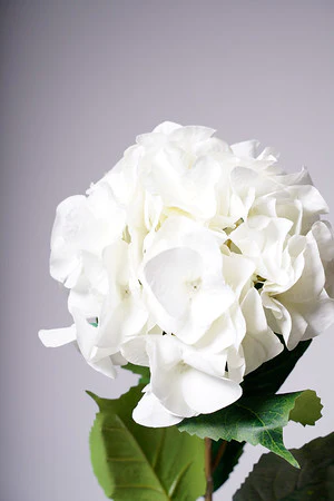31" LG. HYDRANGEA WHITE - Image 2