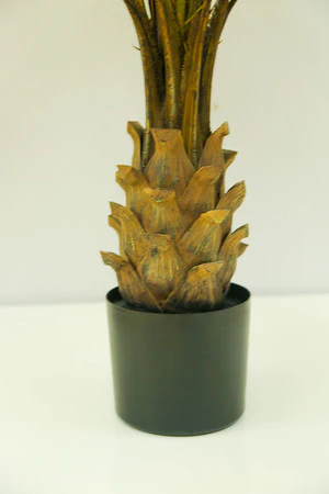 47" KWAI PALM IN POT - Image 2