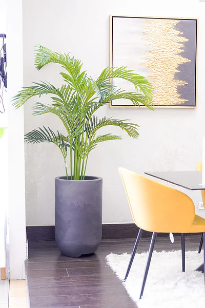 65" ARECA PALM - Image 4