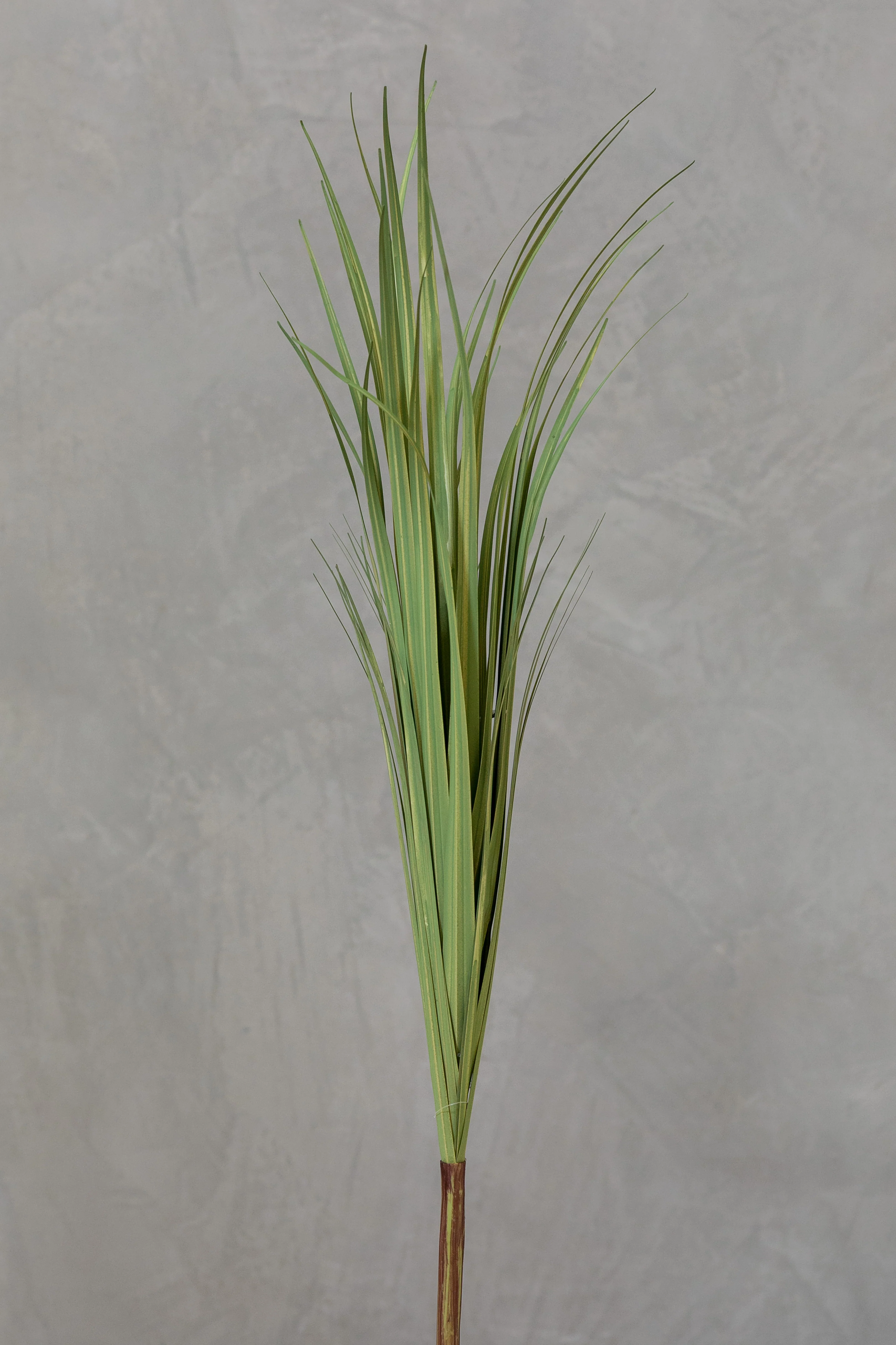 31" Curve Grass - Coco's Plantation - Image 2