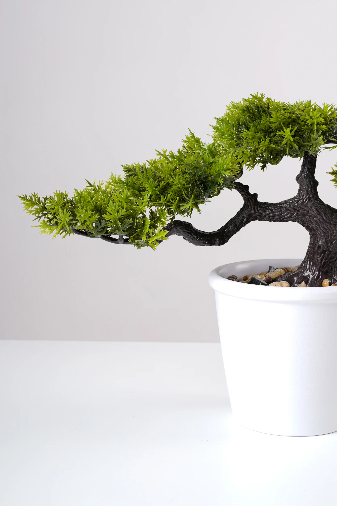 9" Cedar Bonsai In Pot - Image 2