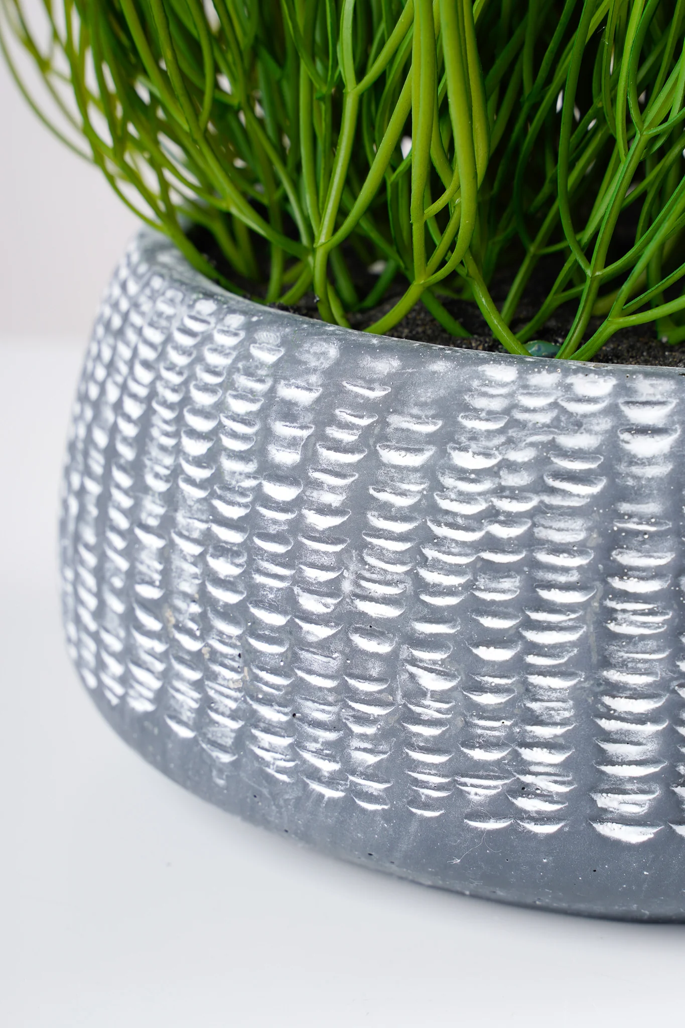 7" FINE GRASS IN POT - Image 2