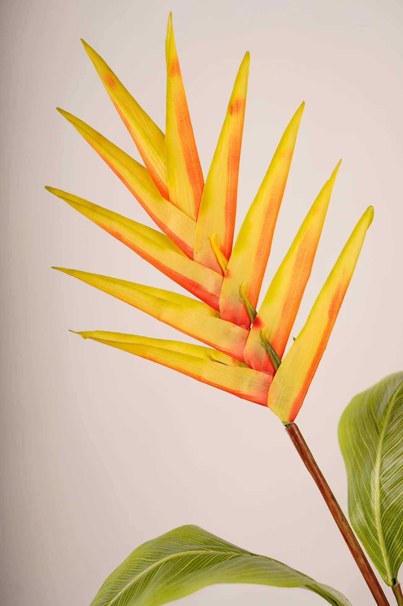Tropical Flower Color J7 Red/Green - Image 2