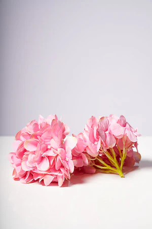 HYDRANGEA  HEAD X6 ROSE - Image 2
