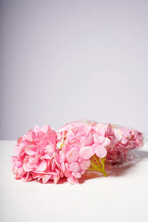 HYDRANGEA  HEAD X6 ROSE - Image 3