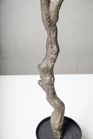 OLIVE TREE 180CM - Image 3