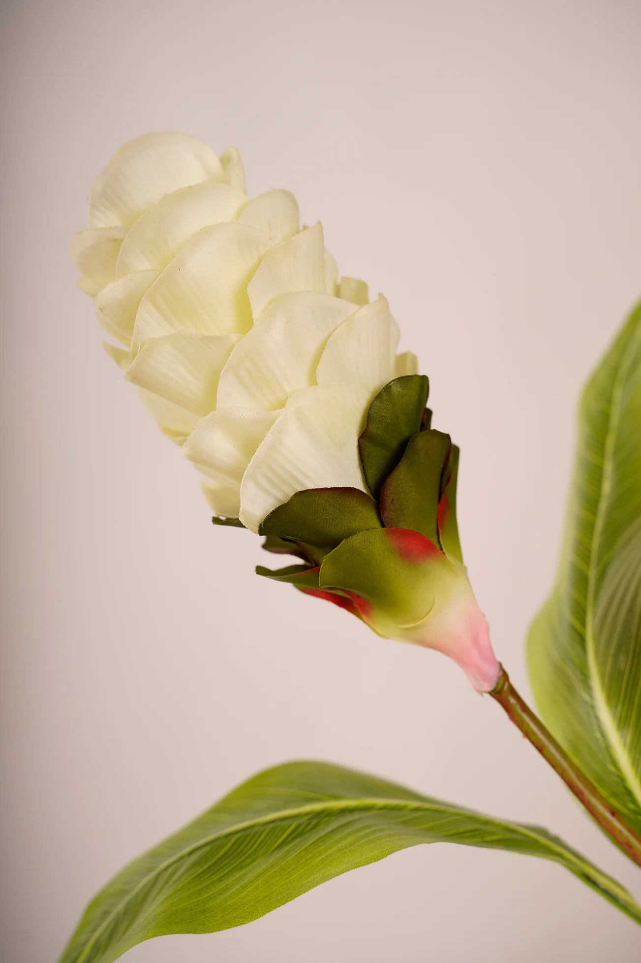 25" Tropical Flower Color J2 White - Image 2